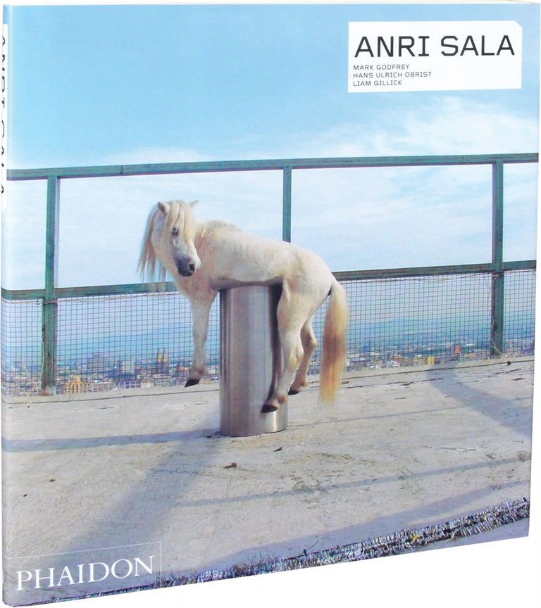 Book #131804] Anri Sala (First Edition). Anri Sala, Hans Ulrich Obrist Mark Godfrey, Liam Gillick