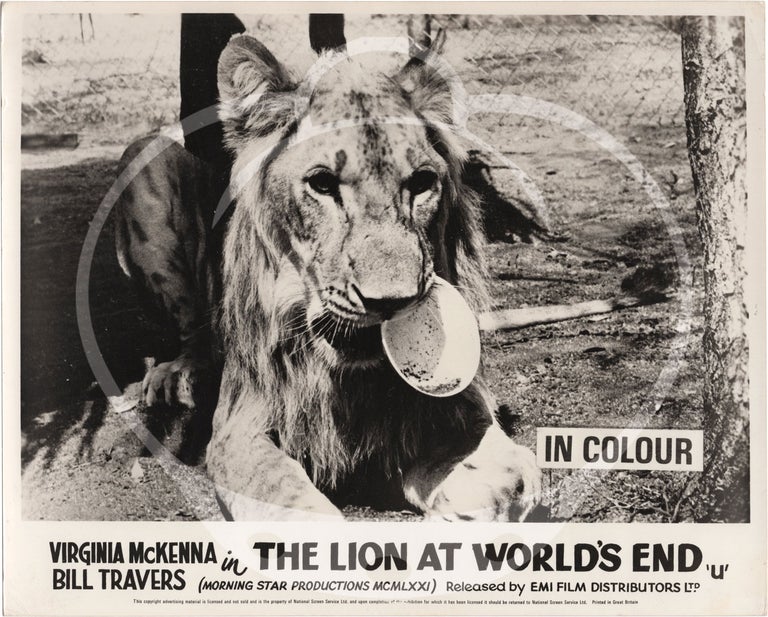 The Lion at World's End [Christian the Lion]