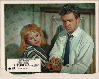 Book #132543] Bitter Harvest (Original British front-of-house card from the 1963 film). Patrick...
