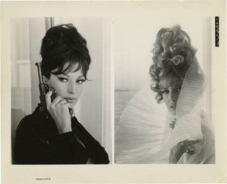 Book #135049] Modesty Blaise (Original photograph from the 1966 film). Joseph Losey, Peter...