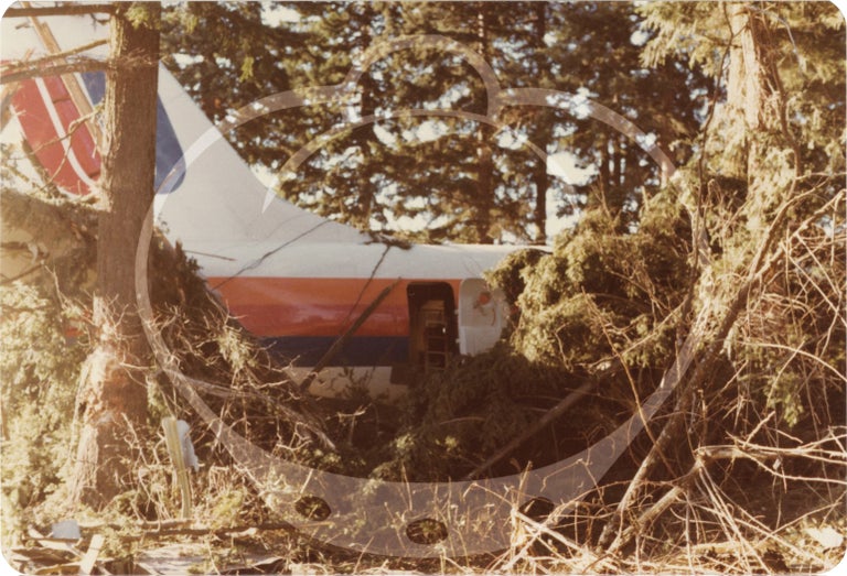 Archive of 63 photographs of the crash of United Airlines Flight 173