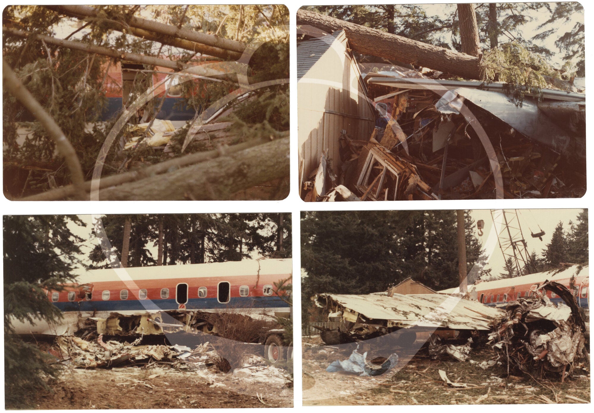 Flight 173 Archive of 63 photographs of the crash of United Airlines Flight 173 ...