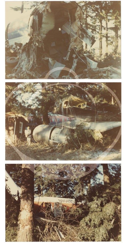 Archive of 63 photographs of the crash of United Airlines Flight 173