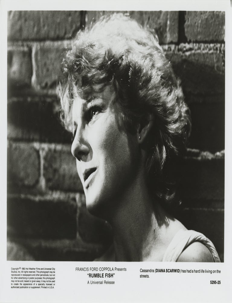 Book #147802] Rumble Fish (Original photograph from the 1983 film). Francis Ford Coppola, S. E....