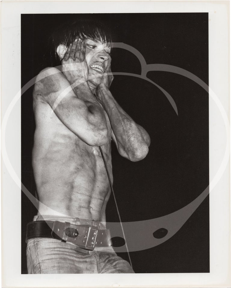 Three original photographs of Iggy Pop and David Bowie, 1977