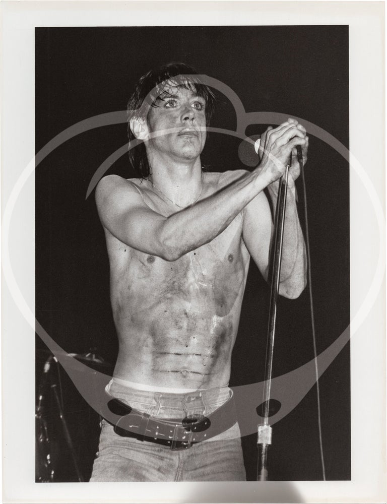 Three original photographs of Iggy Pop and David Bowie, 1977
