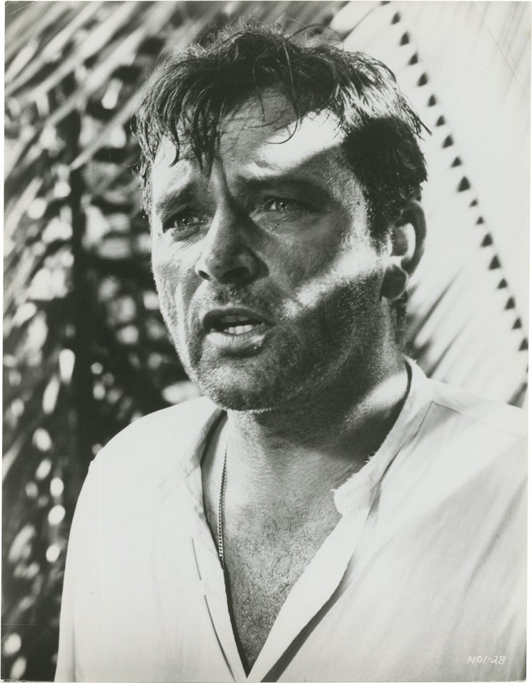 The Night of the Iguana