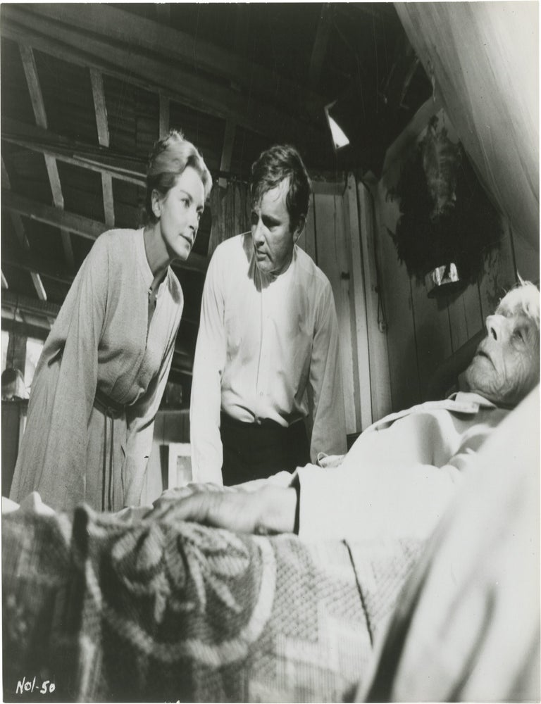 The Night of the Iguana