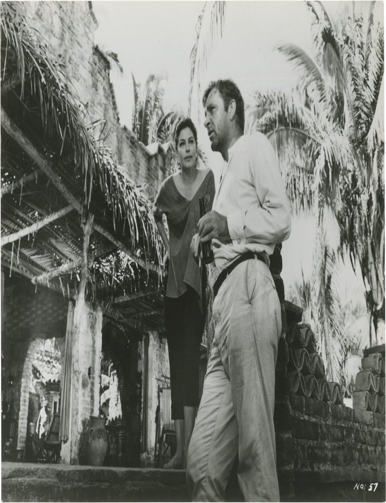 The Night of the Iguana