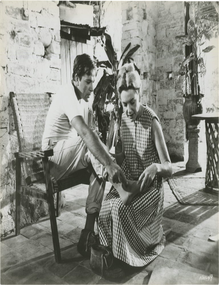 The Night of the Iguana