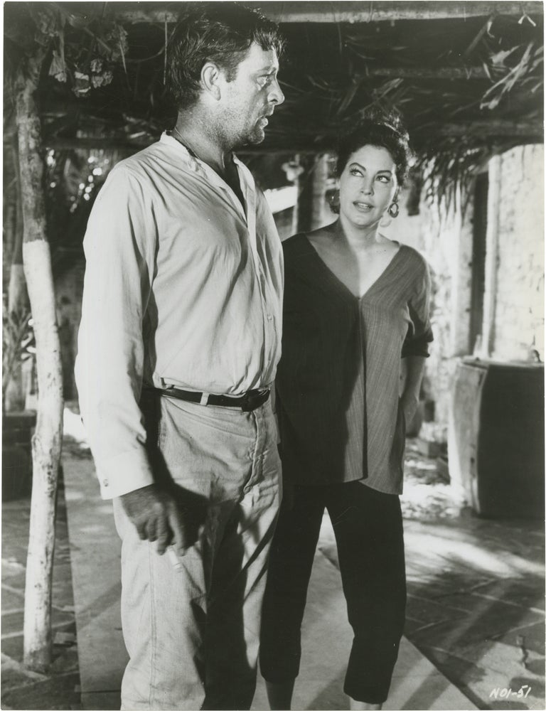 The Night of the Iguana