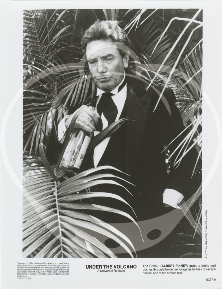 Under the Volcano