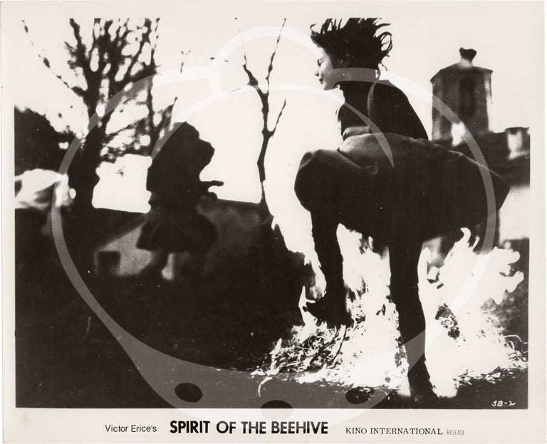 The Spirit of the Beehive [El espiritu de la colmena]