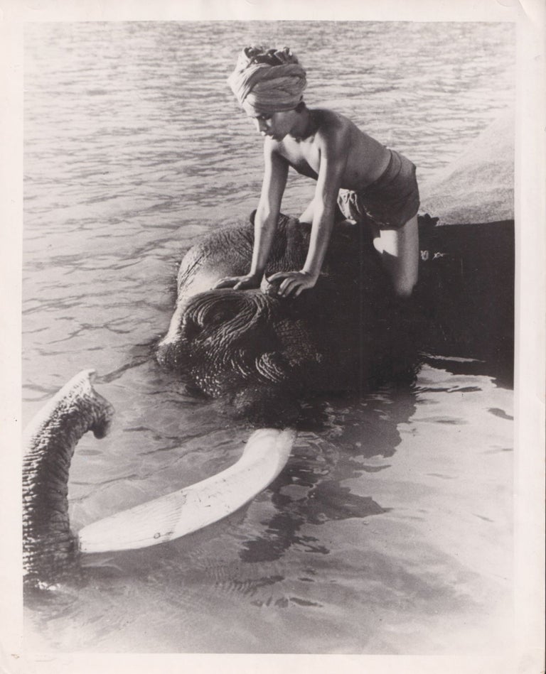 Book #152130] Elephant Boy (Original photograph from the 1937 film). W. E. Holloway Sabu, Allan...