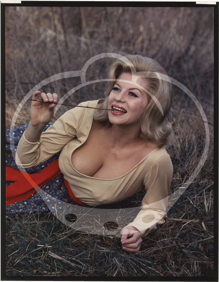 Archive of nine original oversize photographs, including two signed by Russ Meyer, from the director's personal collection