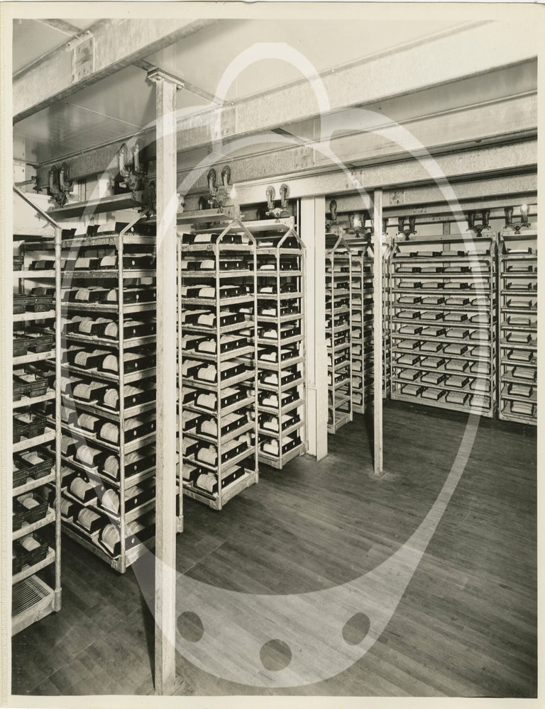 Archive of 30 original photographs taken at Franz Bakery, circa 1935