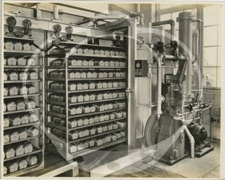 Archive of 30 original photographs taken at Franz Bakery, circa 1935