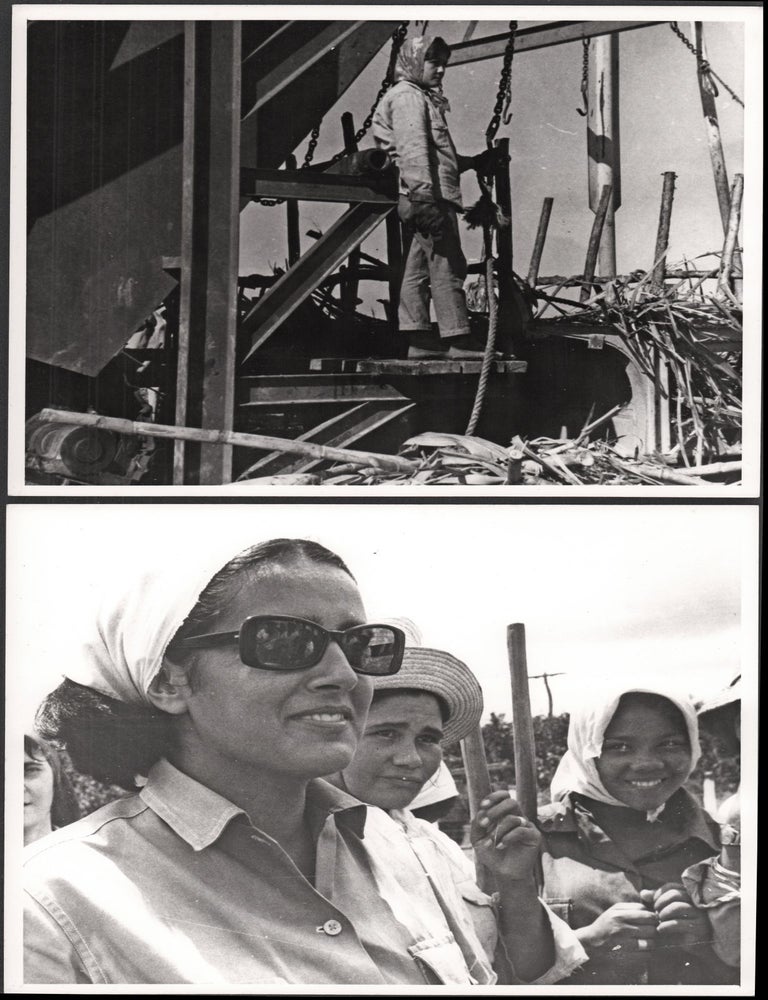 Compañeras and Compañeros
