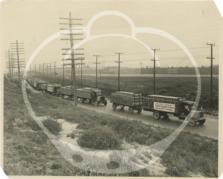 Archive of eight original photographs of Sunkist Growers, Orland, California orange production and processing, circa 1930s