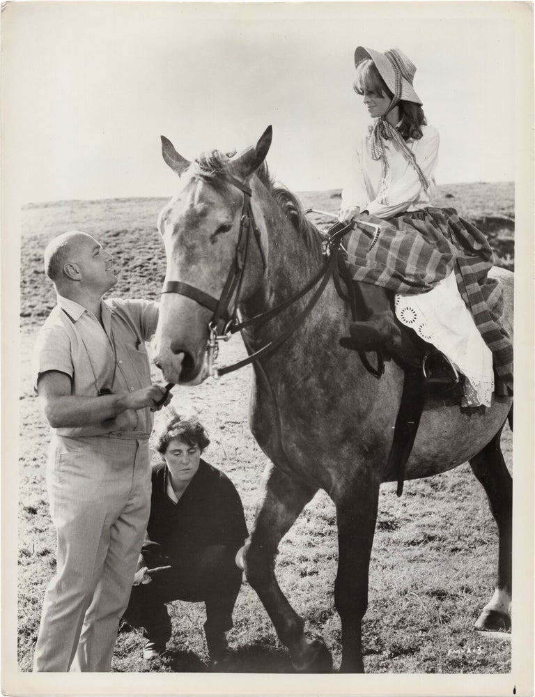 Far from the Madding Crowd | Thomas Hardy, John Schlesinger, Frederic ...