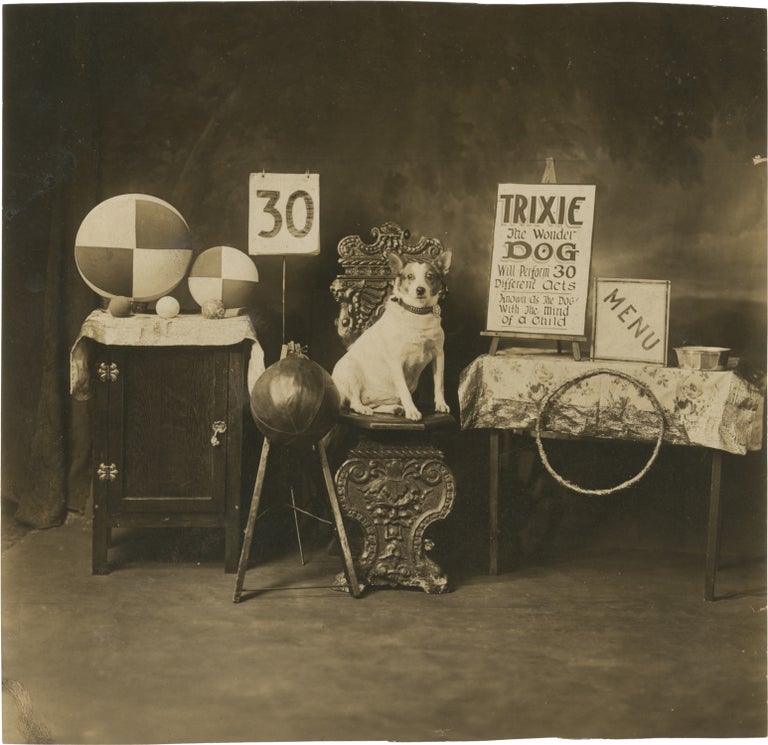 Book #157882] Original photograph of Trixie the Wonder Dog, circa 1920s. Circus, Performing animals