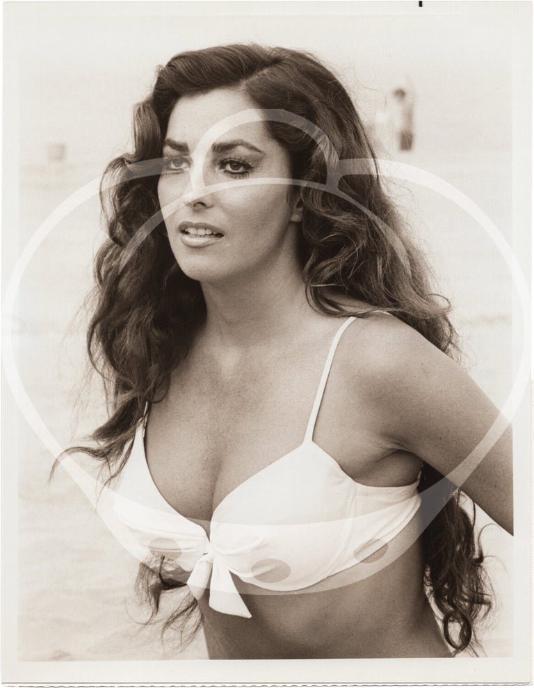 Collection of 18 original photographs of Edy Williams