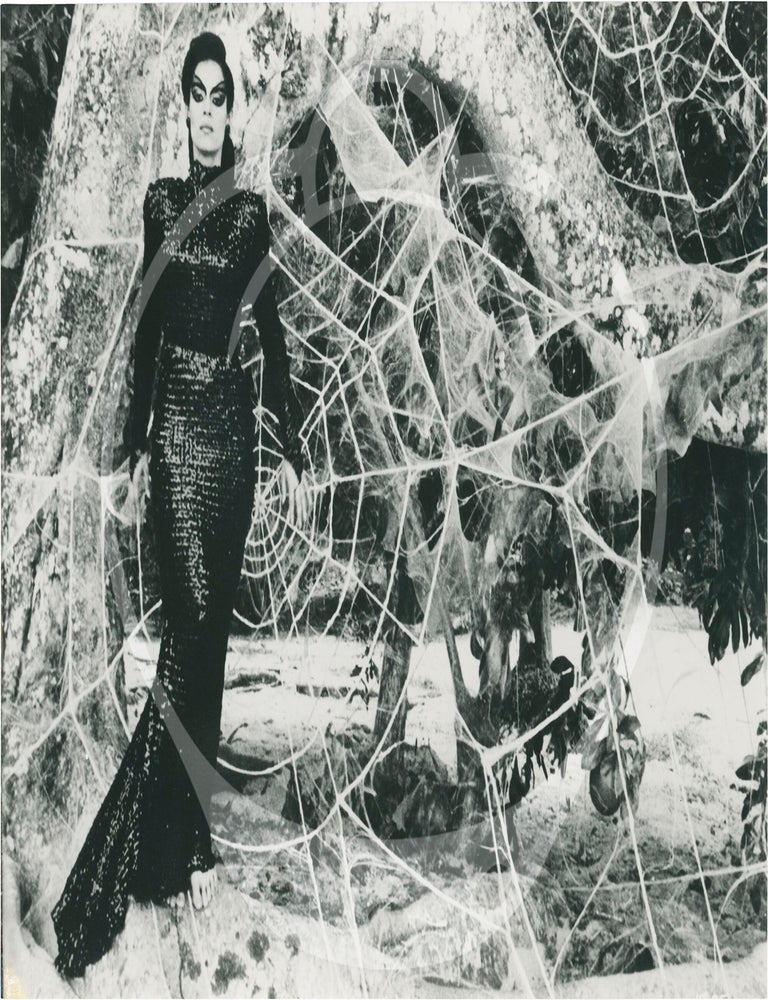 The Kiss of the Spider Woman