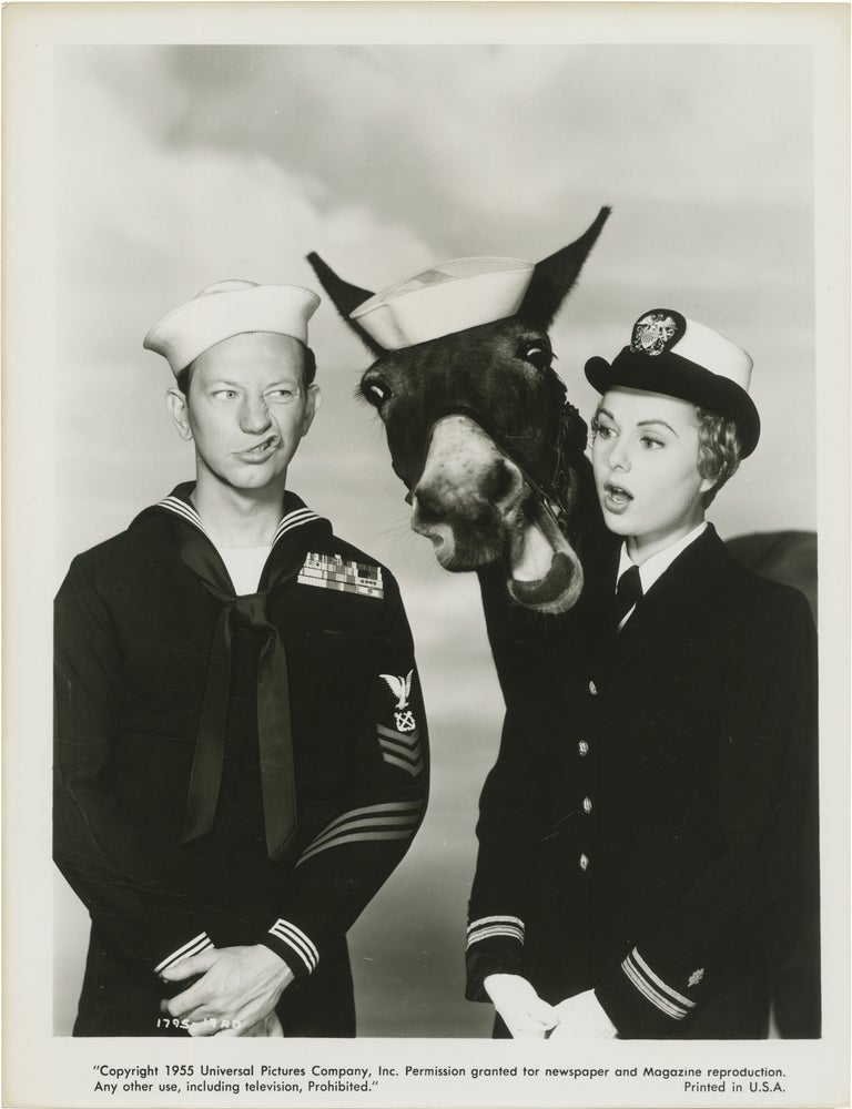 Francis in the Navy