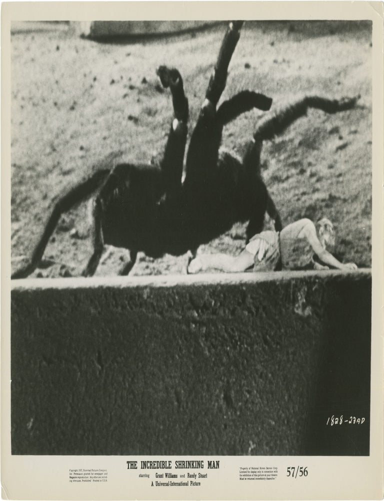 The Incredible Shrinking Man