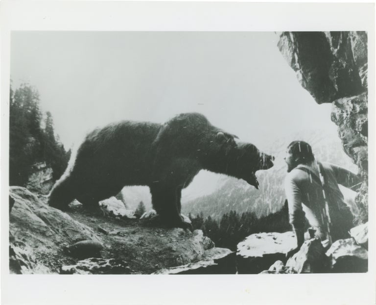 The Bear