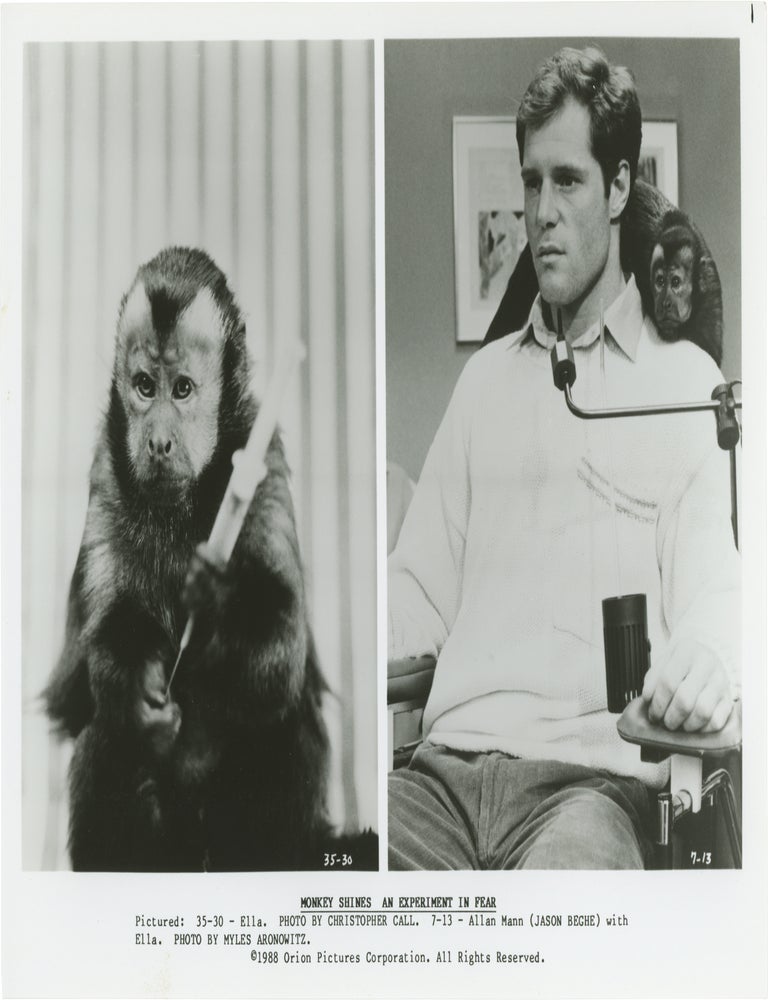 Monkey Shines