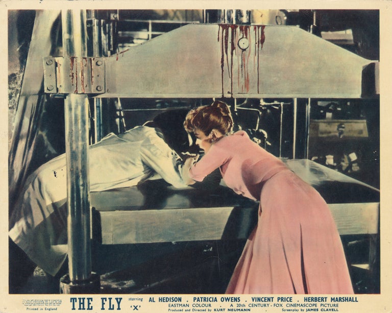 The Fly