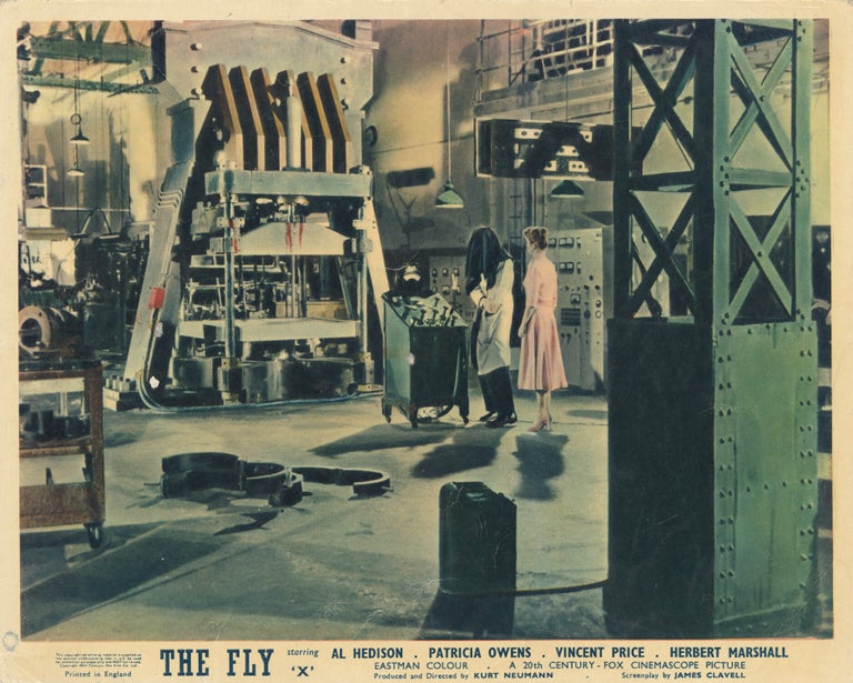 The Fly