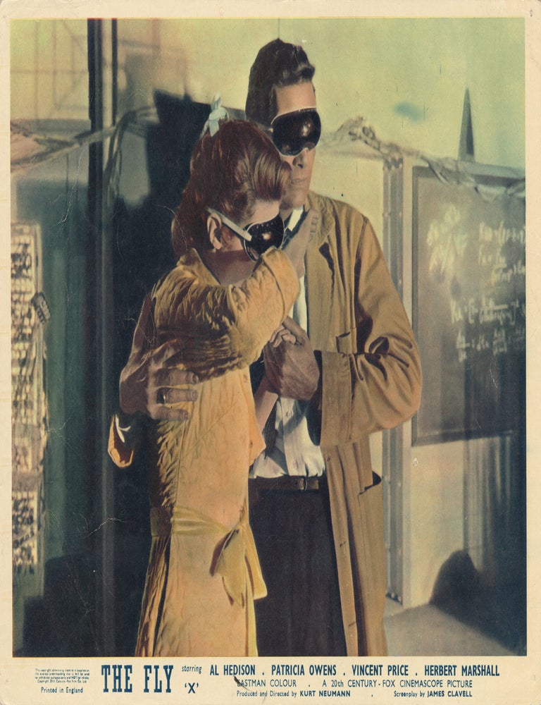 The Fly