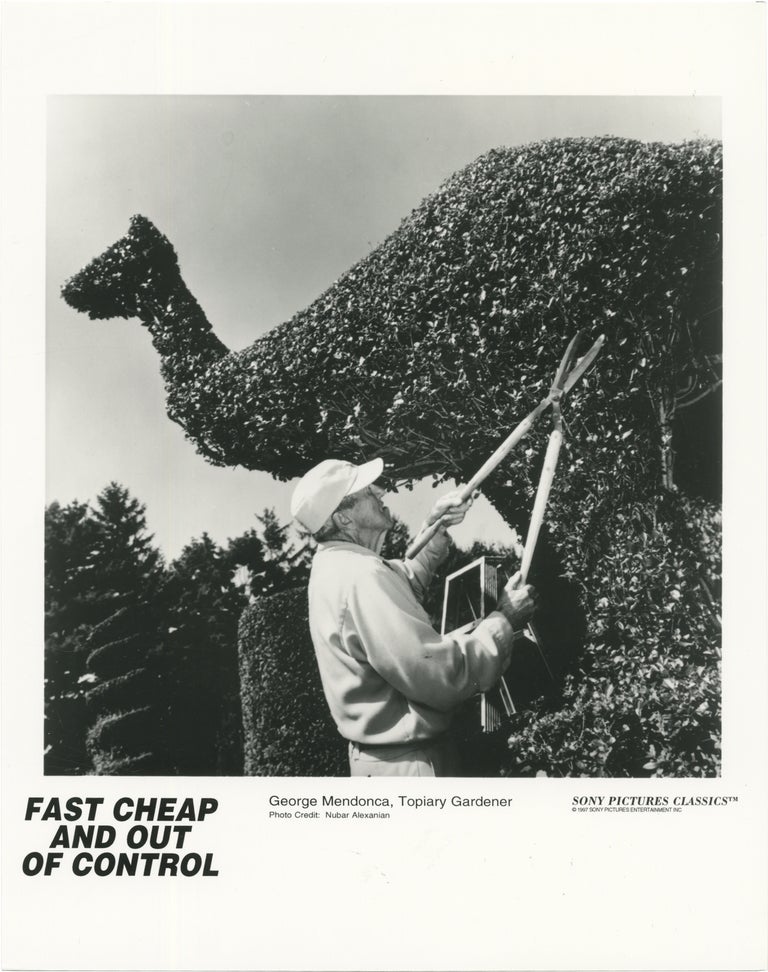 Fast, Cheap, and Out of Control