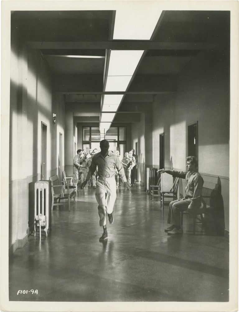 Shock Corridor