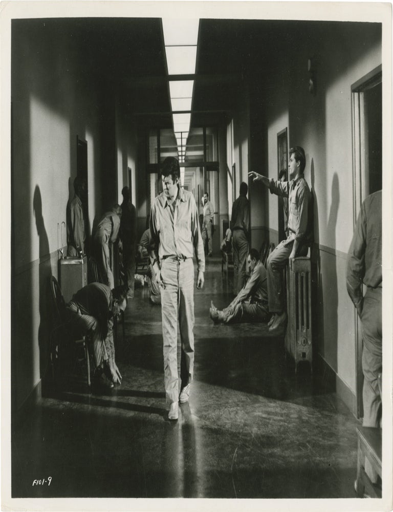 Shock Corridor