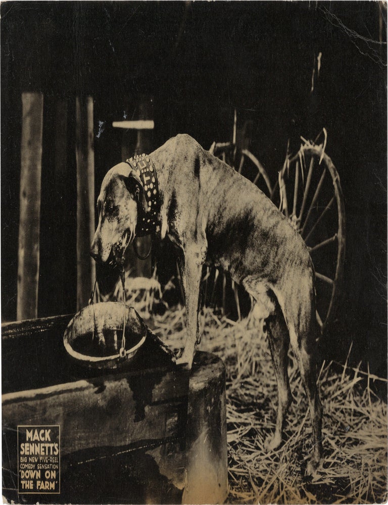Down on the Farm