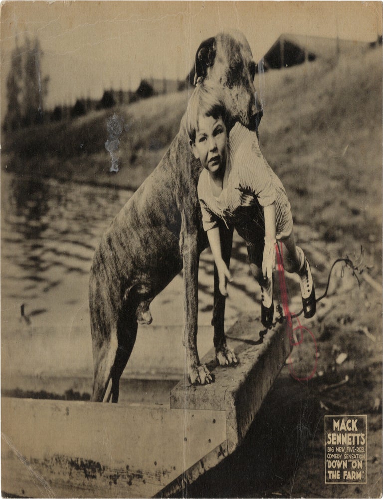 Down on the Farm
