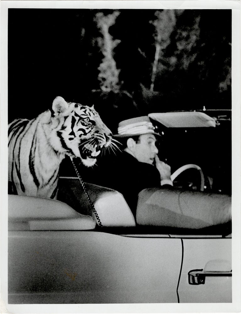 77 Sunset Strip
