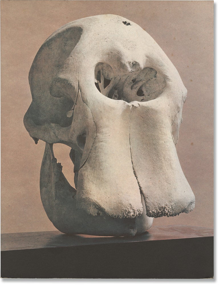Book #172040] Henry Moore (First Edition). Henry Moore
