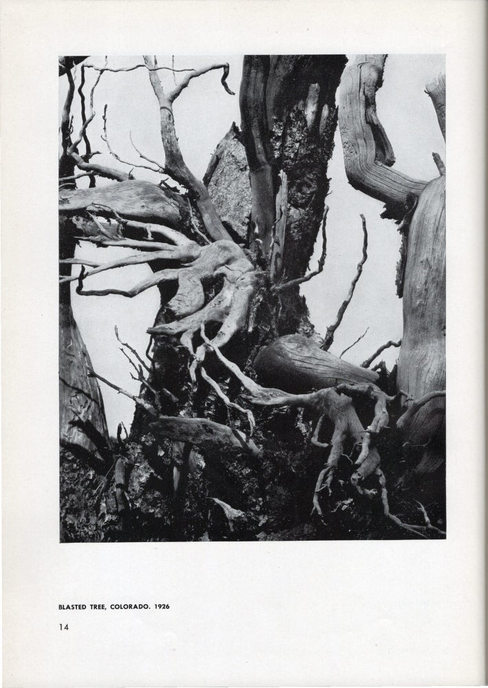 Paul Strand: Photographs 1915-1945
