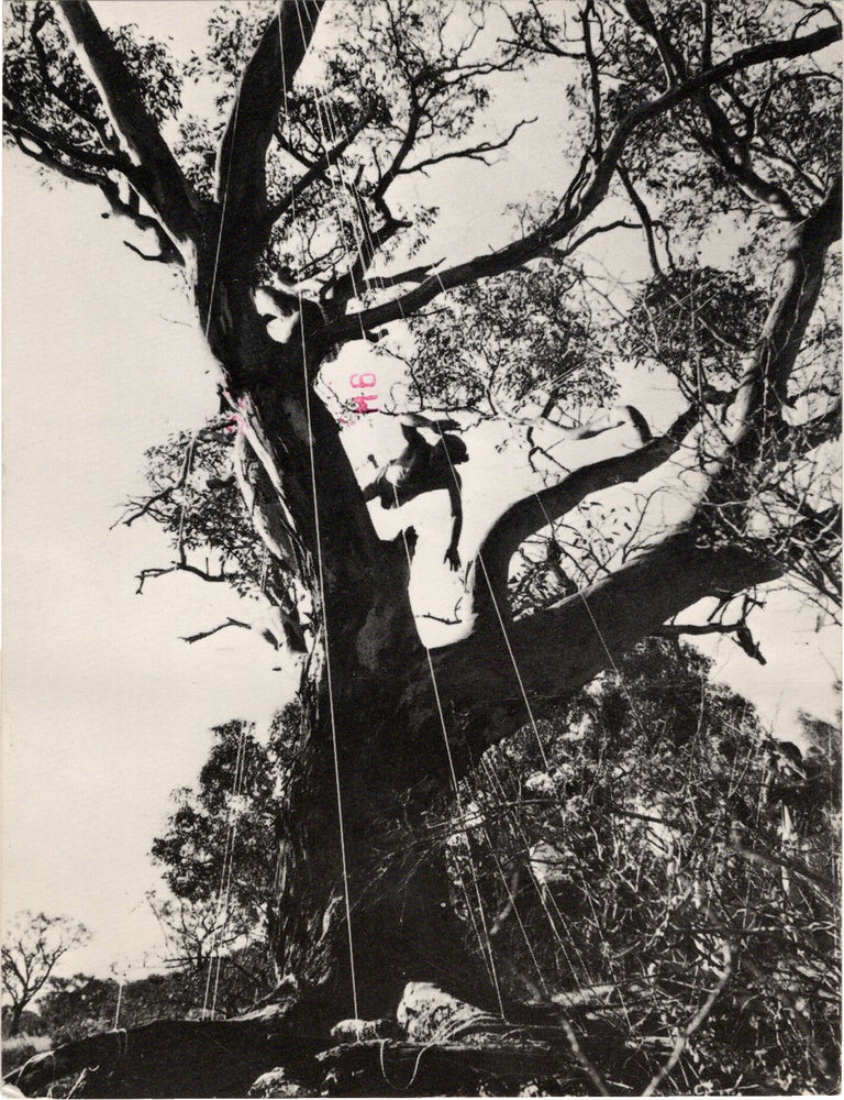 Archive of eighteen self-published post-cards of performances, including eight signed by the artist, two exhibition flyers, and program, 1976-1984