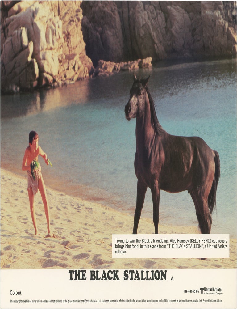 Book #172566] The Black Stallion (Eight original photographs from the 1979 film). Teri Garr...