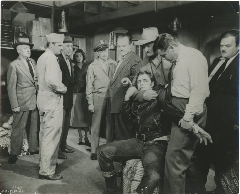 The Wild One