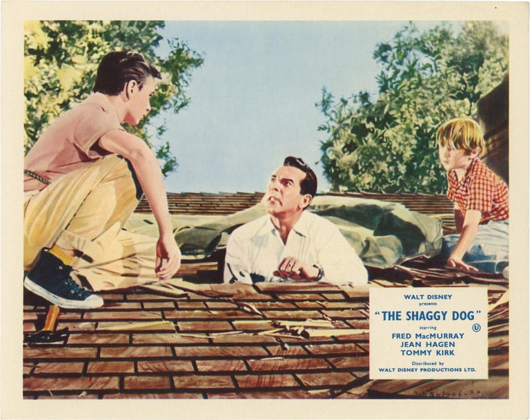 The Shaggy Dog
