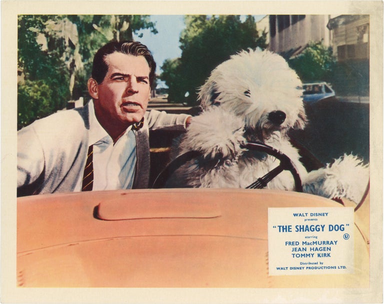 The Shaggy Dog
