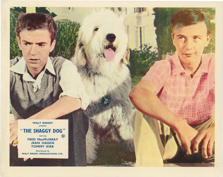 The Shaggy Dog