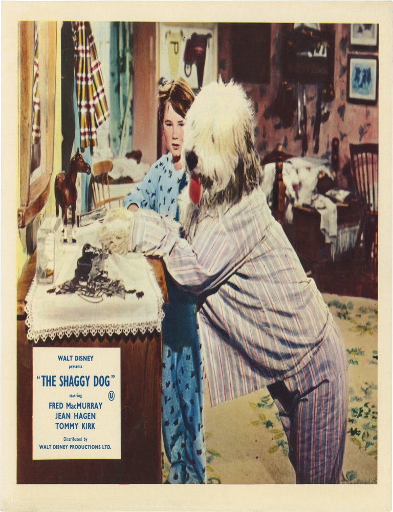 The Shaggy Dog