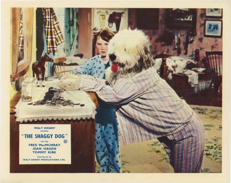 The Shaggy Dog